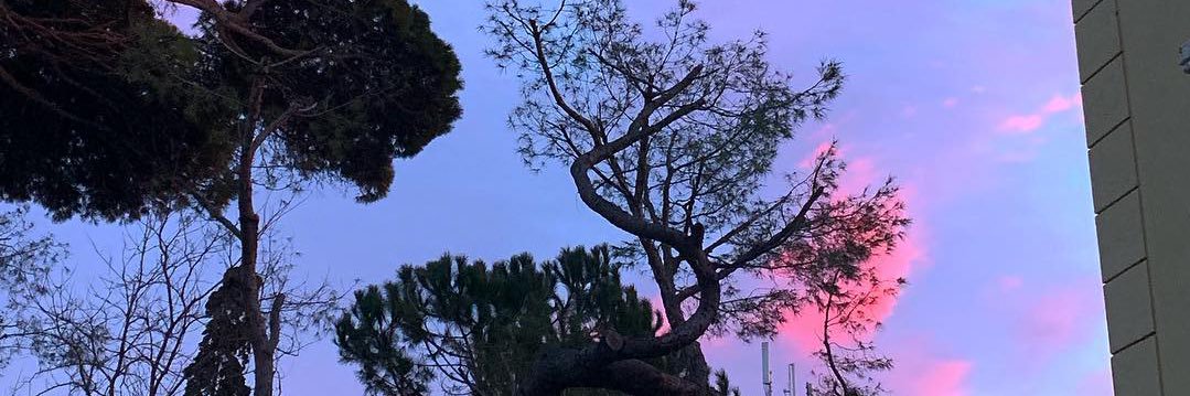 nerolli__'s profile banner image