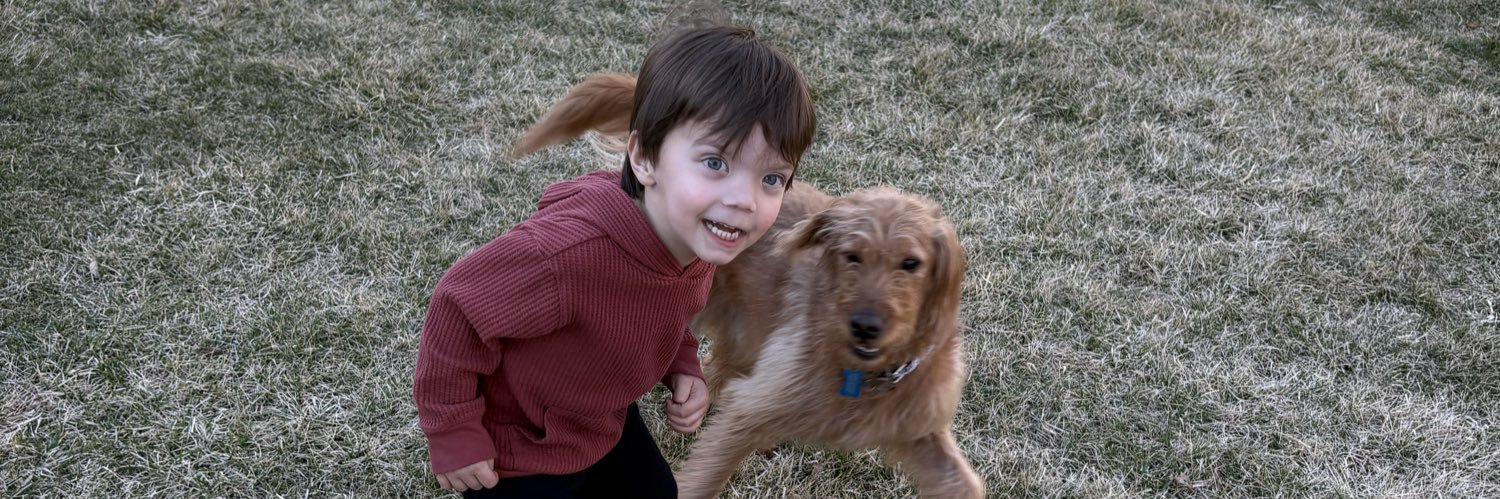 sophee_harrison's profile banner image