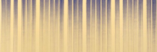 ch__edwards Profile Banner