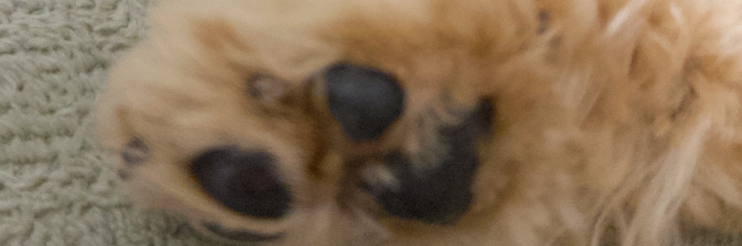 jtwtjee's profile banner image