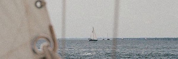 antsfromabove Profile Banner