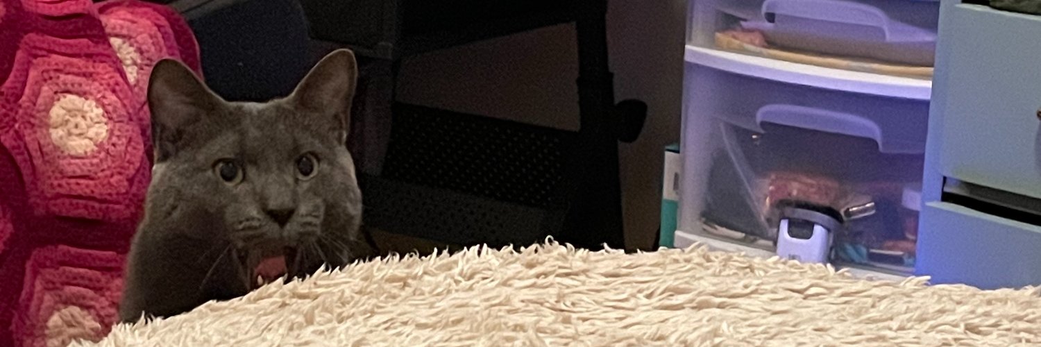 ZappullaJ's profile banner image
