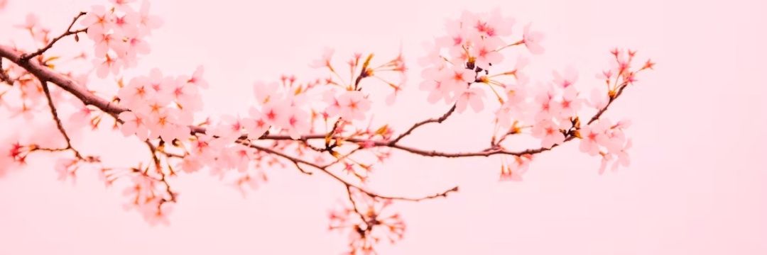 itsshaneffj's profile banner image
