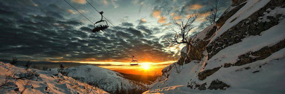 Lobito de las nieves banner