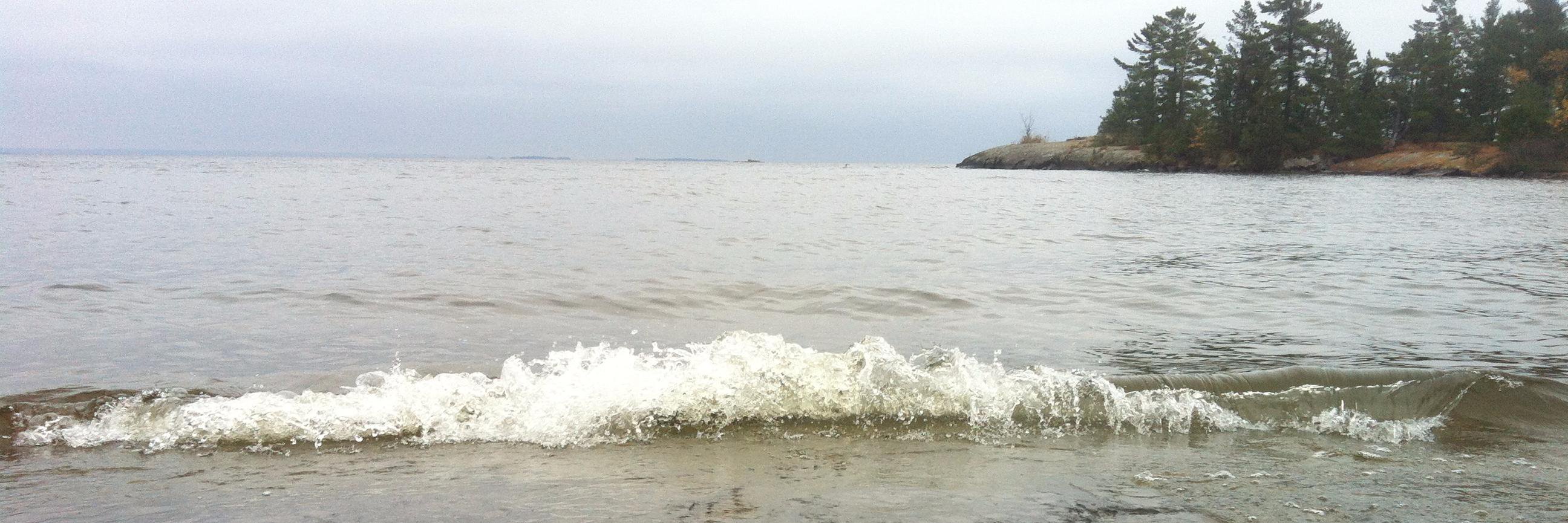 Candice Lepage banner