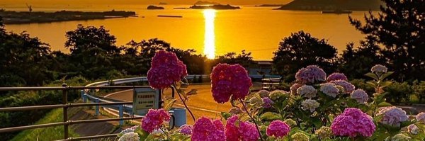 Susan12214 Profile Banner