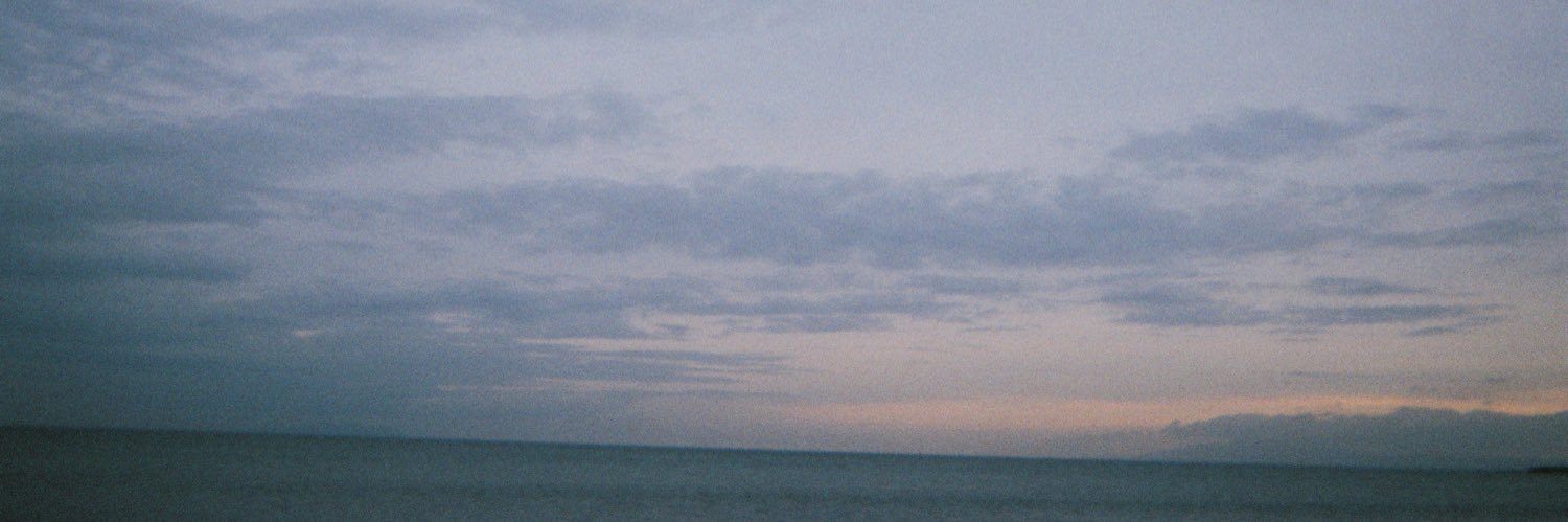 tiger_max1's profile banner image
