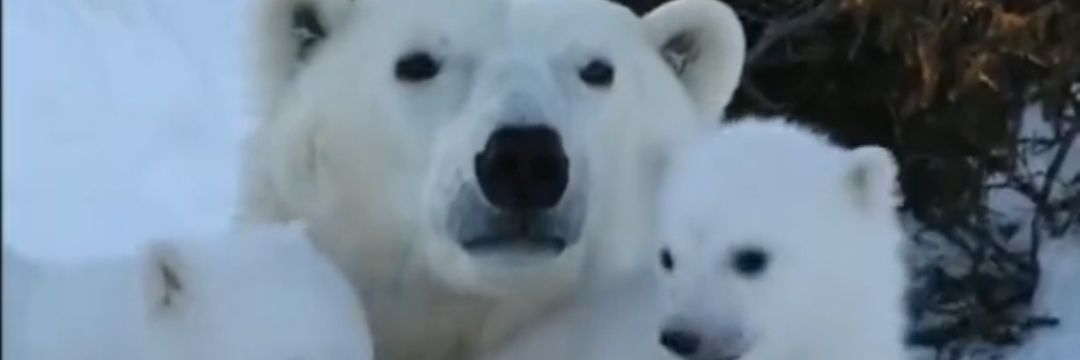 LauraaFdez's profile banner image