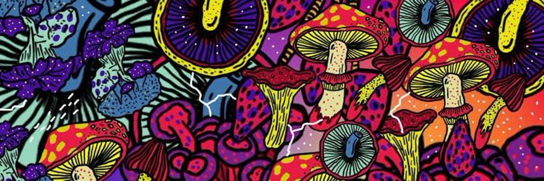 psicodelia's profile banner image