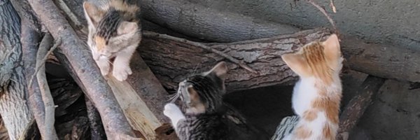 MaaaIsBae Profile Banner