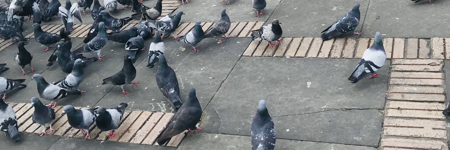 Maria Alejandra banner