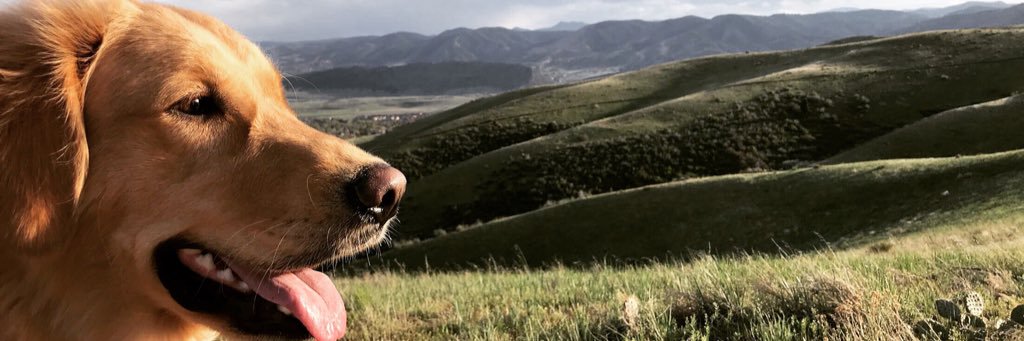 rae1395's profile banner image