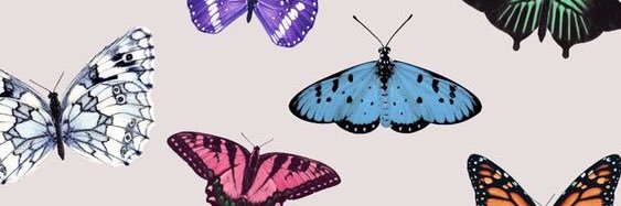 skybug_97's profile banner image