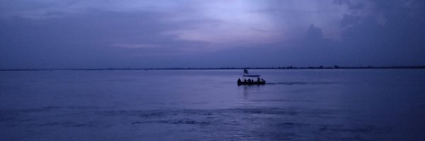 BrocaSarneet Profile Banner