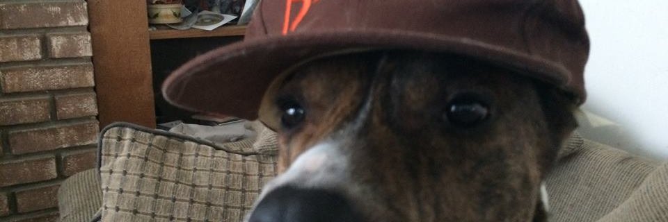 MikeDeneen1's profile banner image