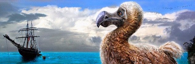 oortobject's profile banner image