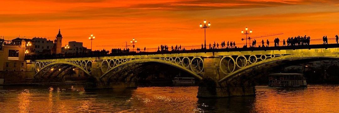 J. De la Capitana 🟥🟨🟪🇵🇸 banner