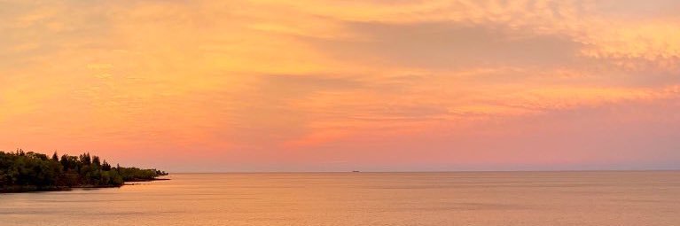 Maarja Anderson Hewitt banner