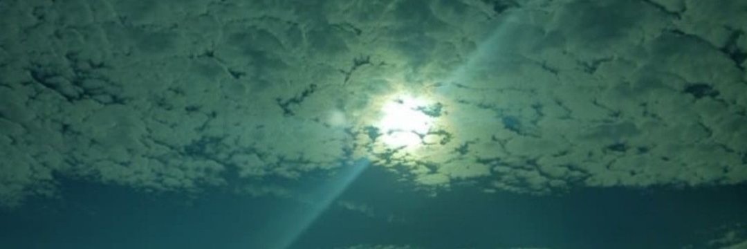 드리머(리플리증후군) banner