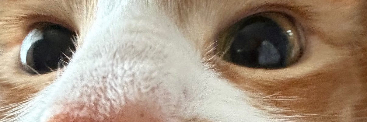 suntosteph's profile banner image