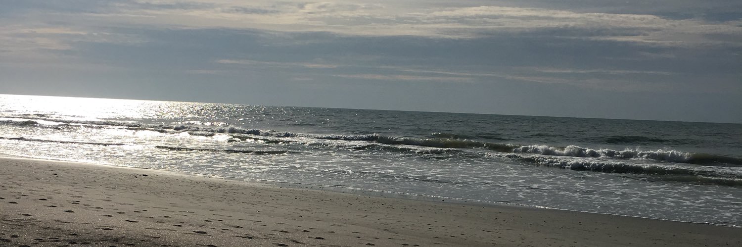SamFifolt's profile banner image