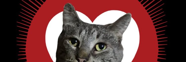 Compuguy 😺😷 banner
