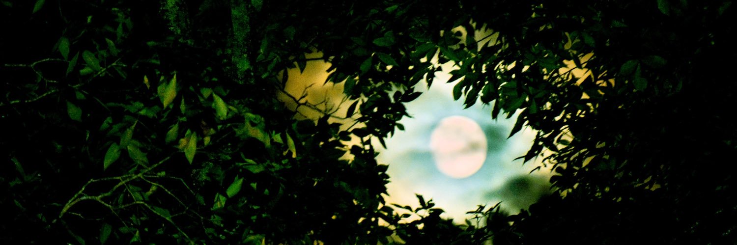 ✨Ms_Ashhole ✨'s banner