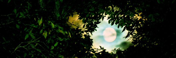 MsAshBash420 Profile Banner