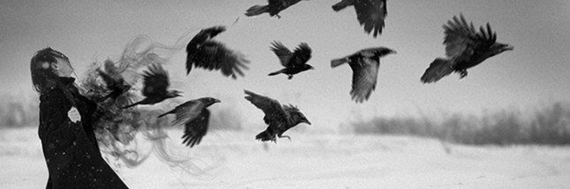 josecuervoco's profile banner image