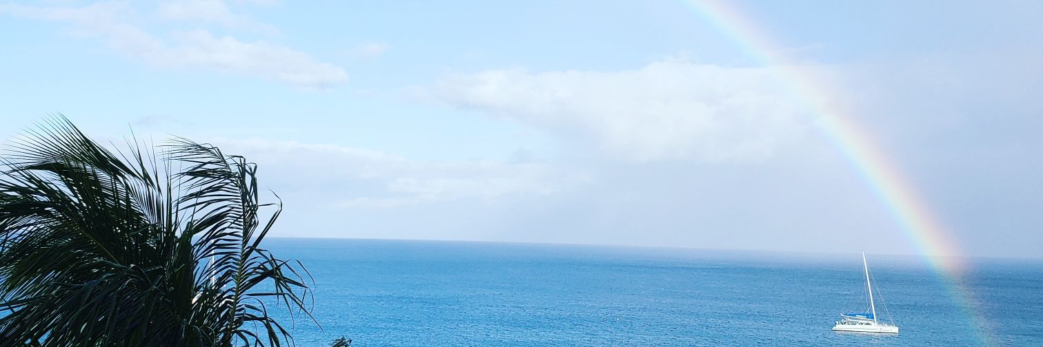 WinnerLoserWAY's profile banner image
