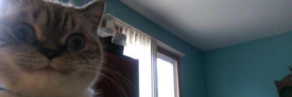 RemainWicked's profile banner image
