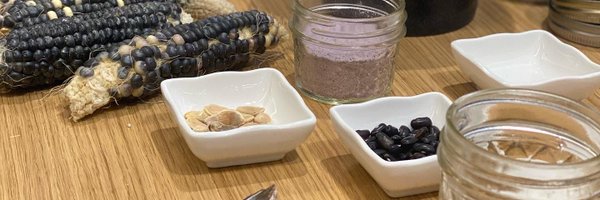 AmyEchos Profile Banner