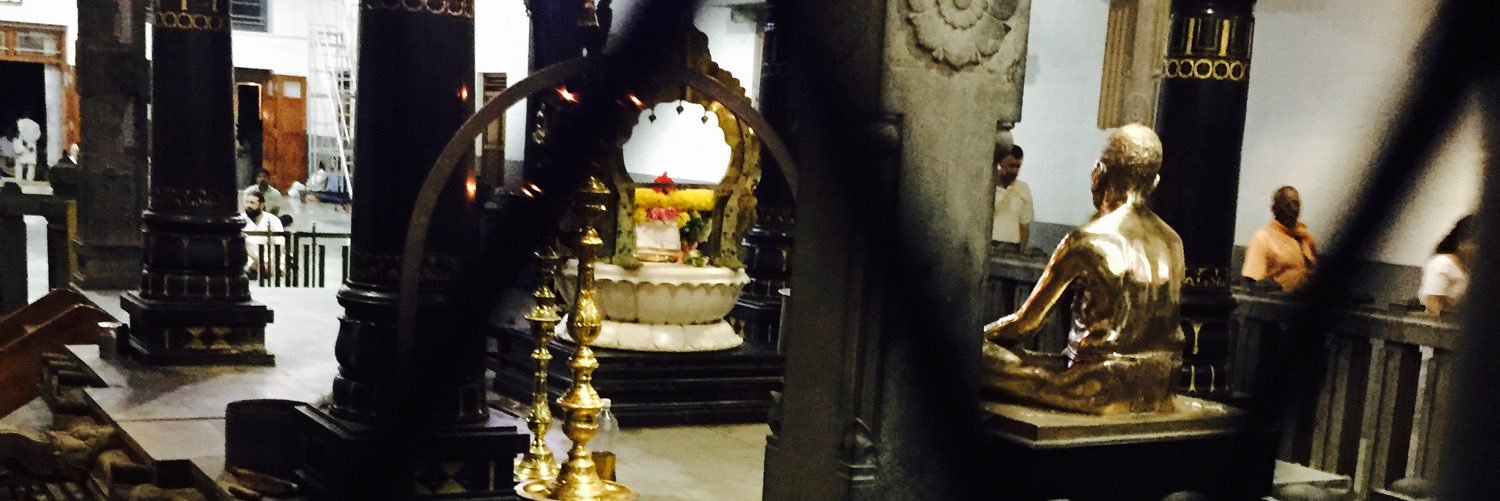 anandsrini's profile banner image