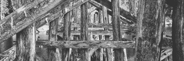 robotpony Profile Banner