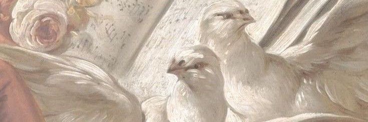 juu 🤍's banner