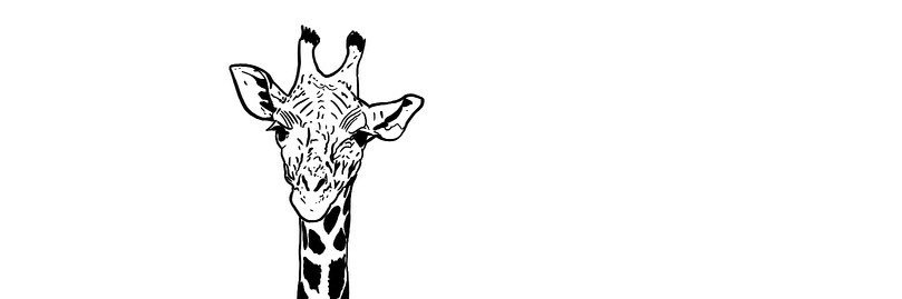 katie__ea_'s profile banner image