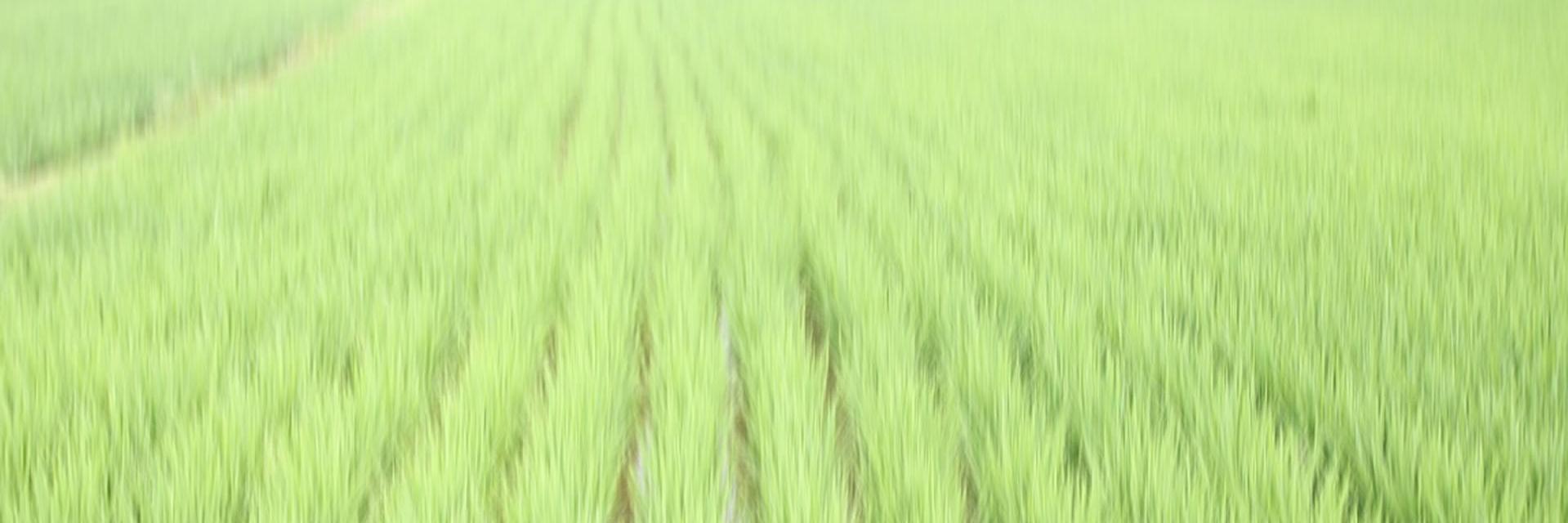 2twinsdesign's profile banner image