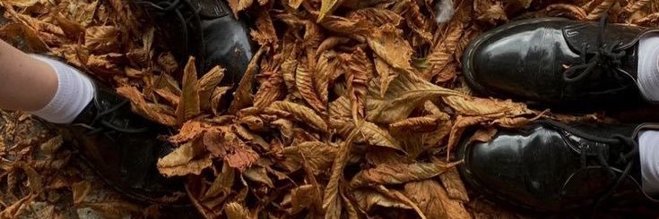 nyltiak's profile banner image