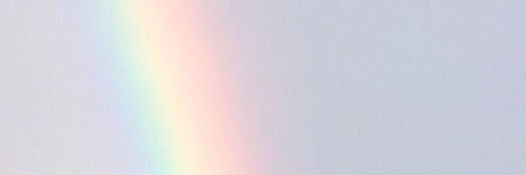 Bibble's banner