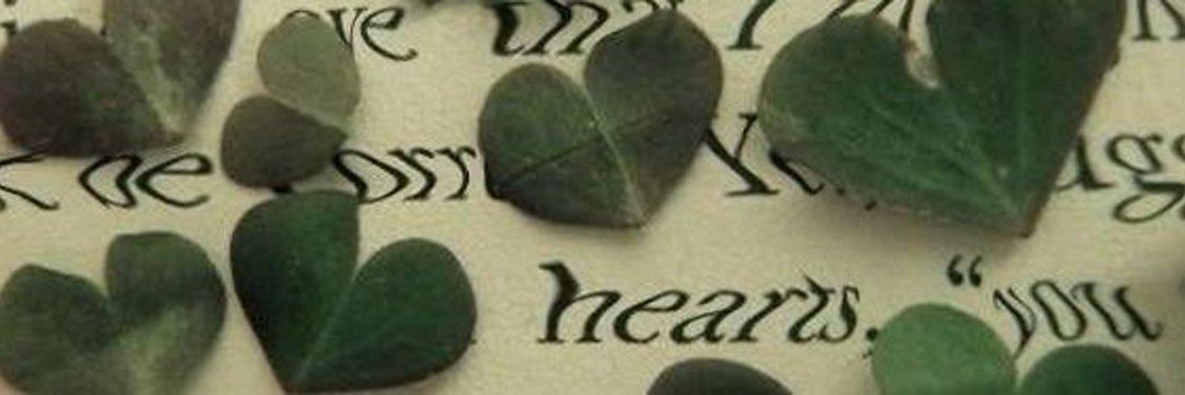 𝑆𝑎𝑚𝑠. 🪴 banner