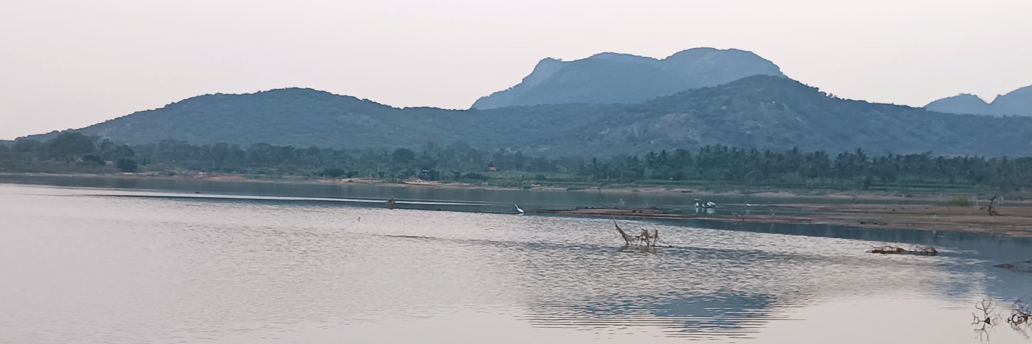lakshmitaru's profile banner image