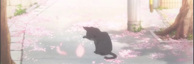 🦊 banner