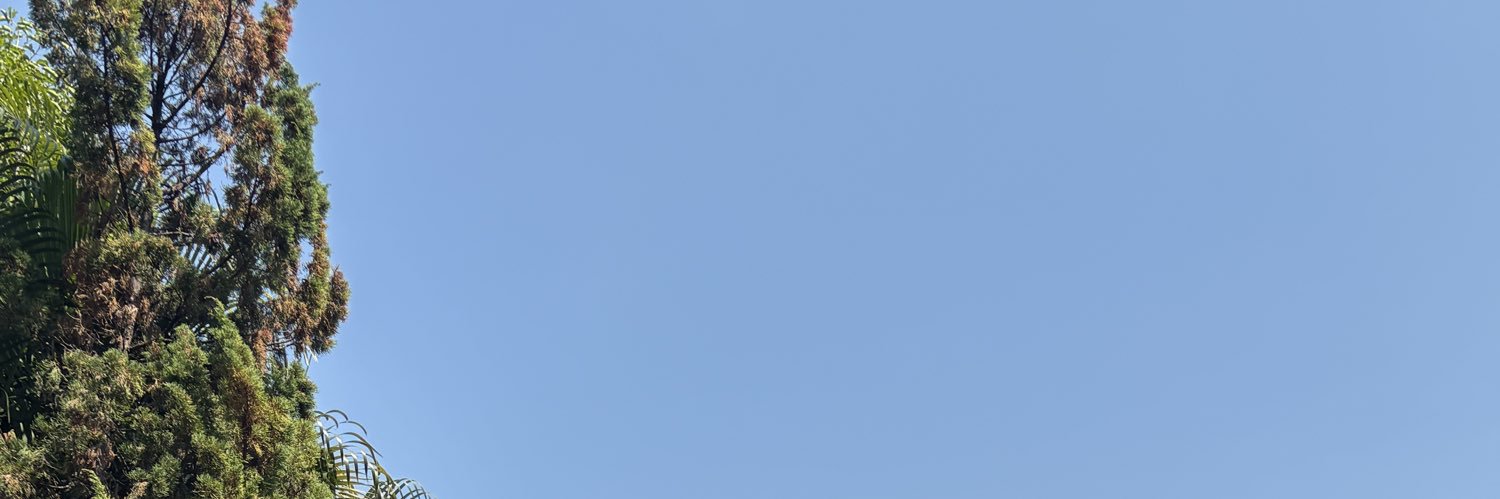 morpor banner