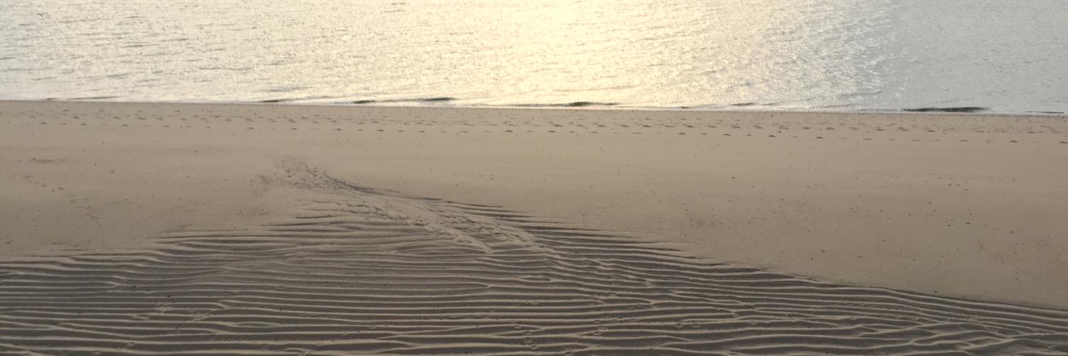 Daniel Pomeroy banner