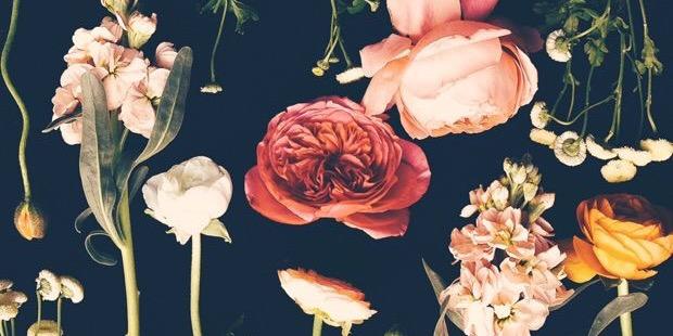 FCMinner's profile banner image