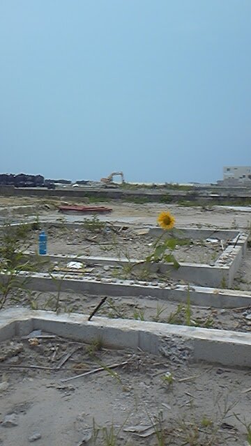 スズキエリ banner