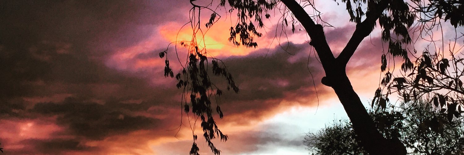 manusrubio09's profile banner image