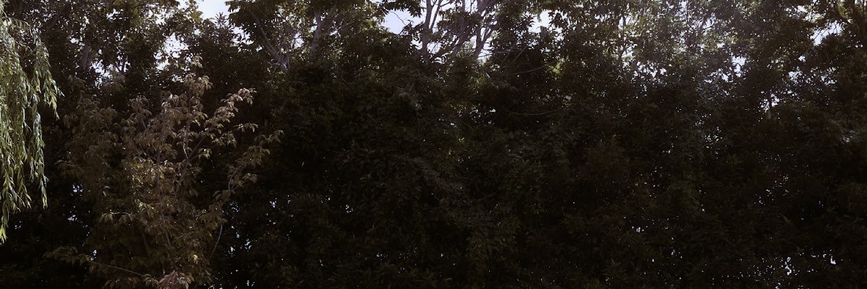 𝖲𝖠𝖡𝖱𝖨𝖭𝖠 𝖳𝖲𝖠𝖨 banner