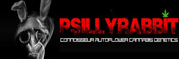 PsillyrabbitG Profile Banner