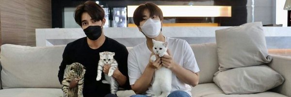 RRRecci Profile Banner